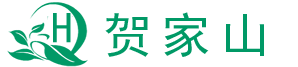 大型网上纪念平台